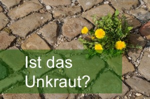 Unkraut?