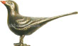amsel halbplastisch
