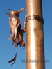 dachrinnenfigur kupferspecht