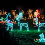 Weihnachtsbeleuchtung im Garten